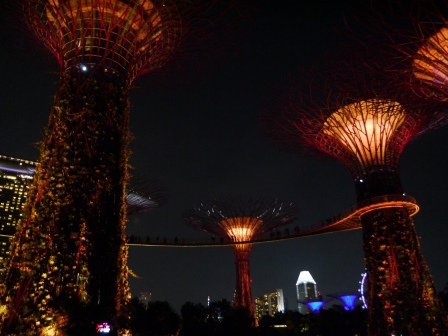 1399857312-3510175005 Singapore-Gardens by the Bay越夜越美麗