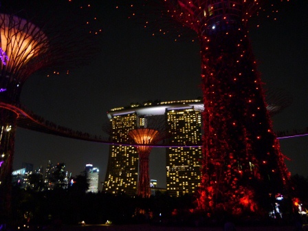 1399857313-4215319649 Singapore-Gardens by the Bay越夜越美麗