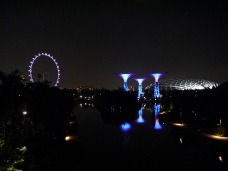 1399857315-521546100 Singapore-Gardens by the Bay越夜越美麗