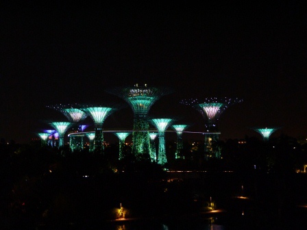 1399857316-2313264475 Singapore-Gardens by the Bay越夜越美麗