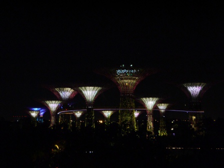 1399857316-3396676753 Singapore-Gardens by the Bay越夜越美麗
