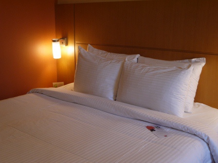 1400236248-4281414946 Singapore-ibis Hotel Singapore Bencoolen連鎖平價 交通方便環境整潔