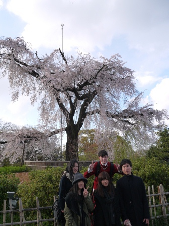 1402066790-3863297848 Kyoto-八坂神社&円山公園 有點亂的櫻花園區