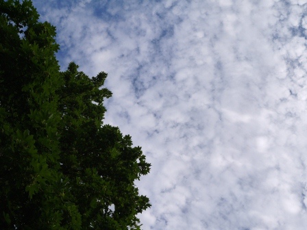 1402934378-47980420 London-美麗的Green Park放空 走著走著白金漢宮就到了啊