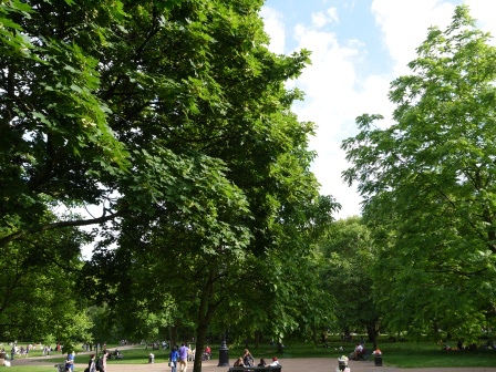 1402934380-2041891497 London-美麗的Green Park放空 走著走著白金漢宮就到了啊