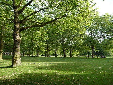 1402934381-2734028690 London-美麗的Green Park放空 走著走著白金漢宮就到了啊