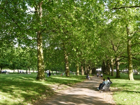 1402934381-933660510 London-美麗的Green Park放空 走著走著白金漢宮就到了啊