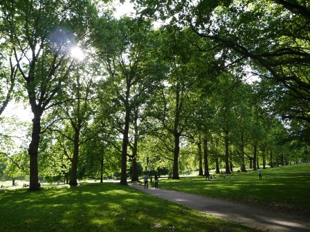 1402934382-3637271603 London-美麗的Green Park放空 走著走著白金漢宮就到了啊