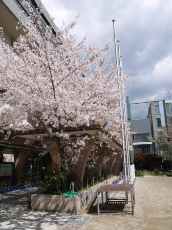 1403921370-2433286258 Kyoto-好吃好逛 傳統錦市場