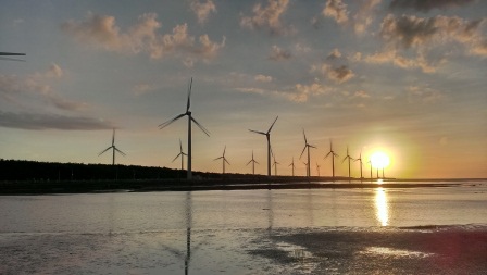 1405260332-2115746717 清水-高美濕地 沒帶相機也要拍