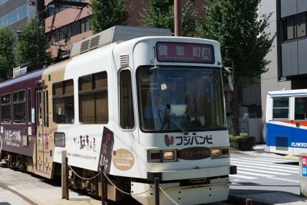 Kumamoto 熊本市電熊本的另一種風景 茶 香草 天空飛行