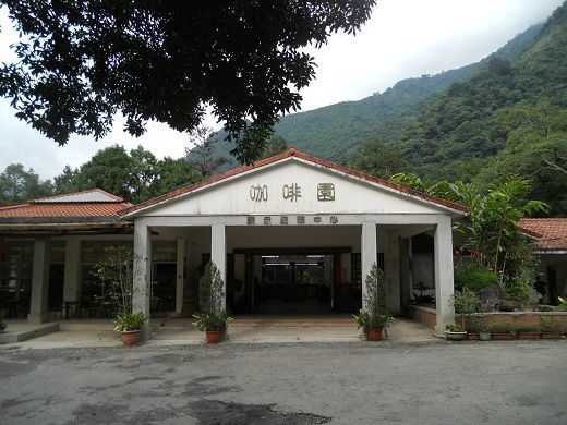 1415631002-795181288 仁愛-惠蓀林場呼吸芬多精 再來一杯惠蓀咖啡的美好