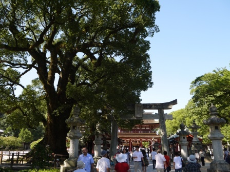 1417245379-2321187056 Dazaifu-太宰府天滿宮 考試要過關快來拜一下