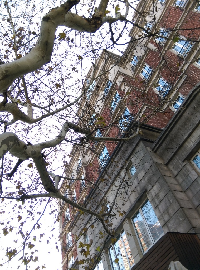 1420710409-3990963314 Shanghai-上海早餐 好好吃的煎餃啊