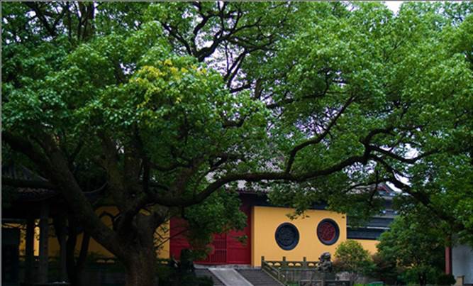 1421249522-3677048094 Hangzhou-欲把西湖比西子 濃妝淡抹總相宜