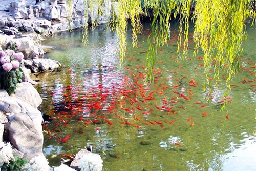 1421249528-3172638115 Hangzhou-欲把西湖比西子 濃妝淡抹總相宜