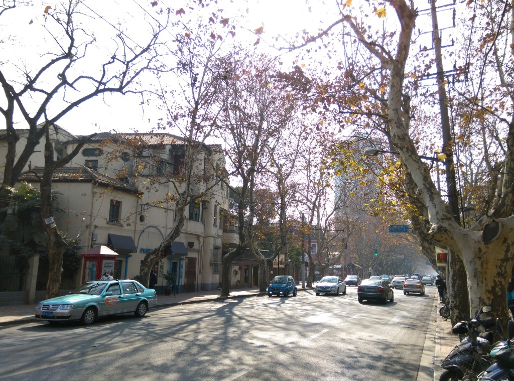 1421570290-3606805975 Shanghai-衡山路 最美的上海最美的梧桐景緻