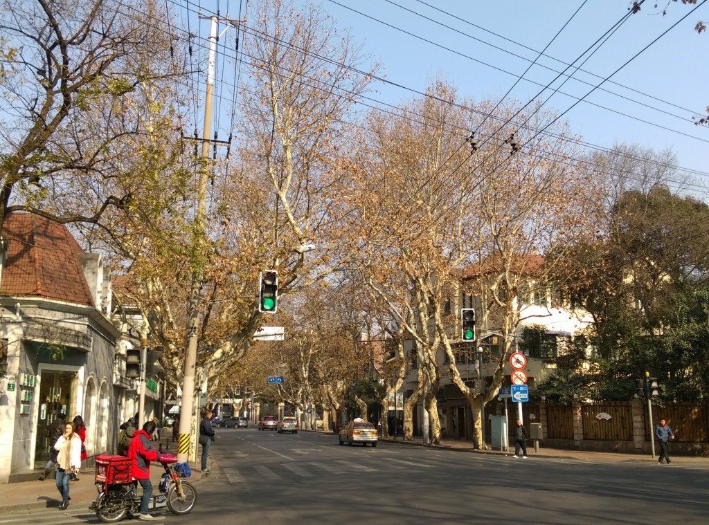 1421570292-425157028 Shanghai-衡山路 最美的上海最美的梧桐景緻
