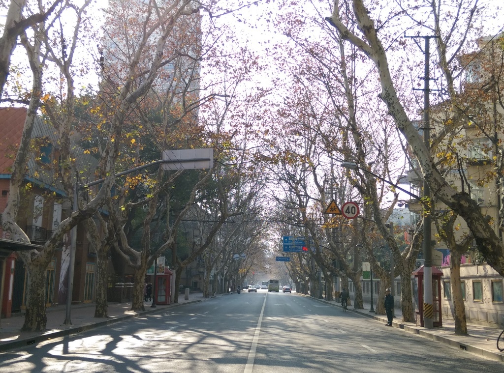 1421570293-2920857119 Shanghai-衡山路 最美的上海最美的梧桐景緻