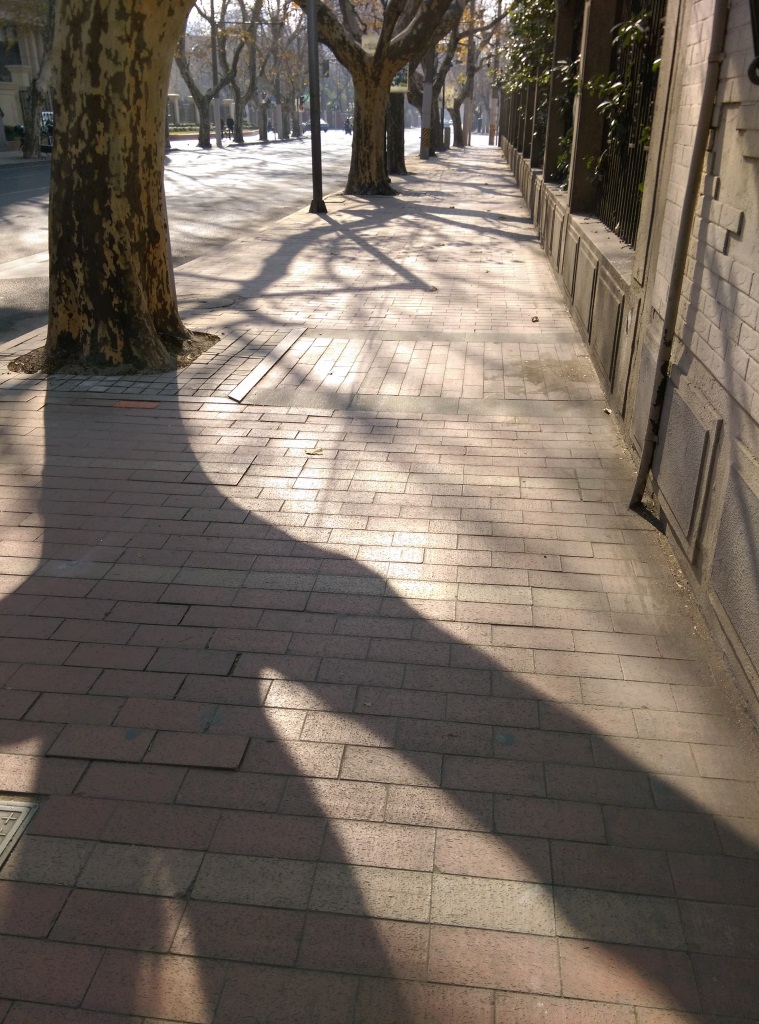 1421570294-3282513766 Shanghai-衡山路 最美的上海最美的梧桐景緻