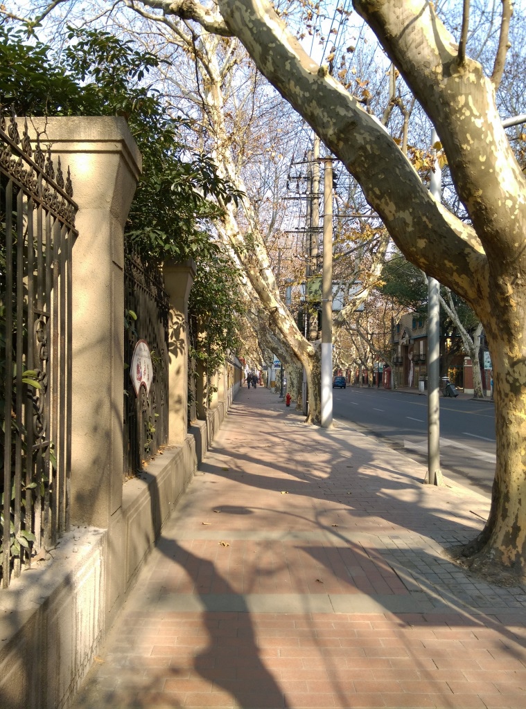1421570296-4247933387 Shanghai-衡山路 最美的上海最美的梧桐景緻