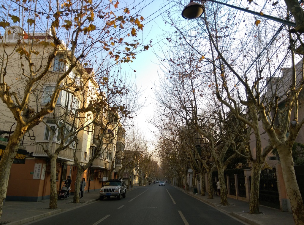 1421570309-782165207 Shanghai-衡山路 最美的上海最美的梧桐景緻