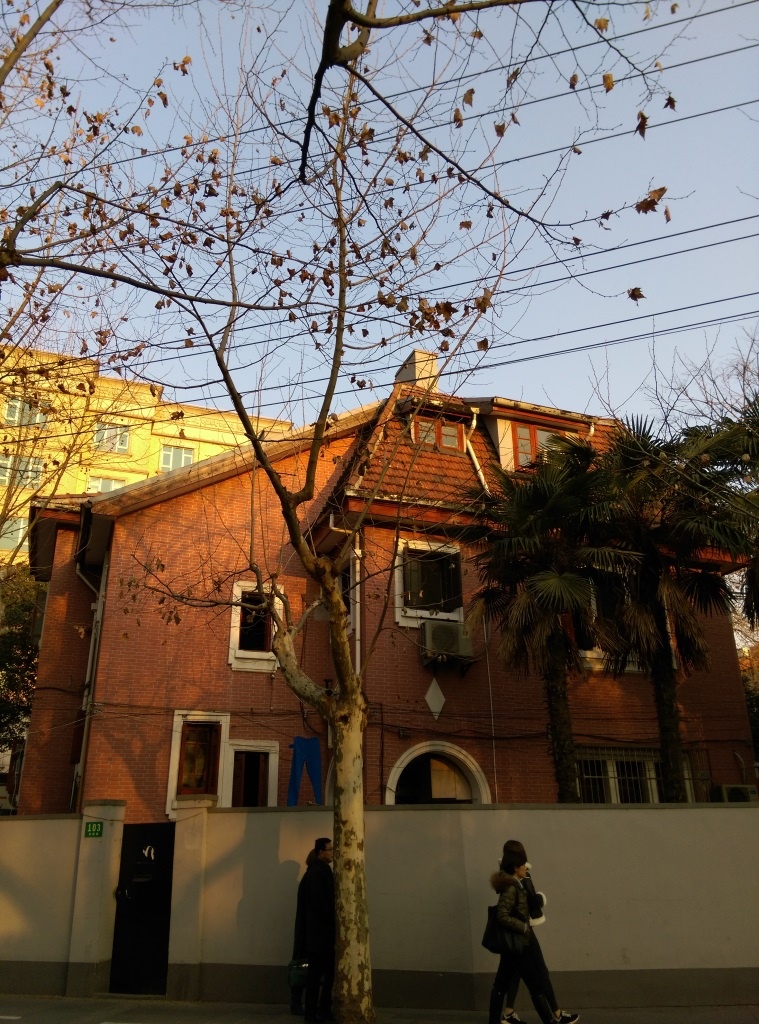 1421570313-17996915 Shanghai-衡山路 最美的上海最美的梧桐景緻