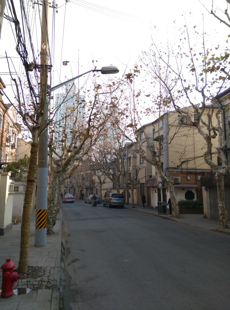 1421570320-3843442358 Shanghai-衡山路 最美的上海最美的梧桐景緻