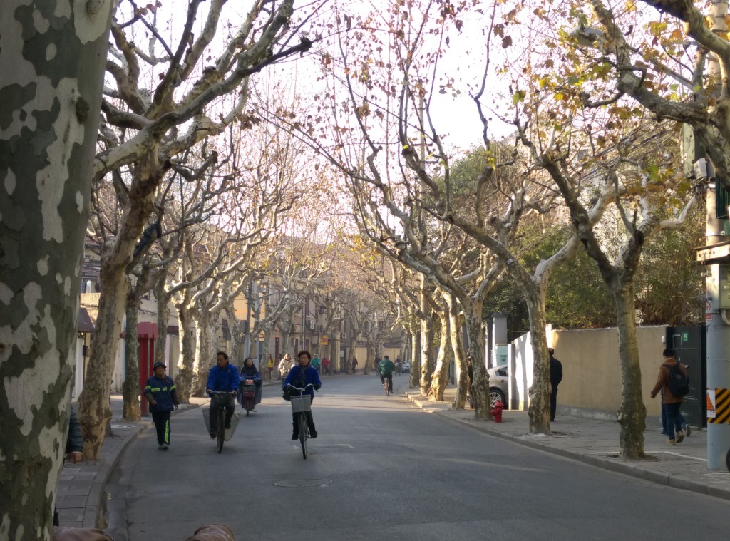 1421570323-2427099609 Shanghai-衡山路 最美的上海最美的梧桐景緻