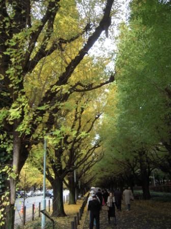 19a0eabbaa40e8e3d153147ce3ccfb5a Tokyo-外苑前銀杏祭