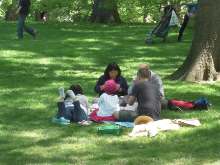 1a3cfb7f2a9d077975c38079a1308cde New York-第五大道/中央公園/布魯克林大橋