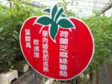 28f110cfde67b06d5447f5b121ca5738 關西-金勇DIY蕃茄農場