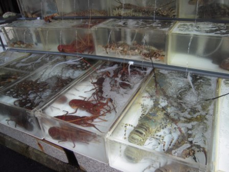 40f8b78177b833c0609560f3c95de765 HK-鯉魚門漁村風光