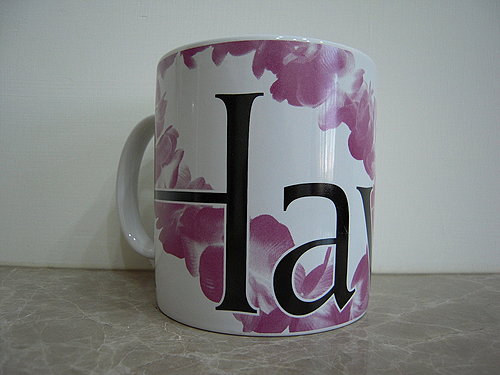 4ac5c9ec2a558 City Mug-Hawaii