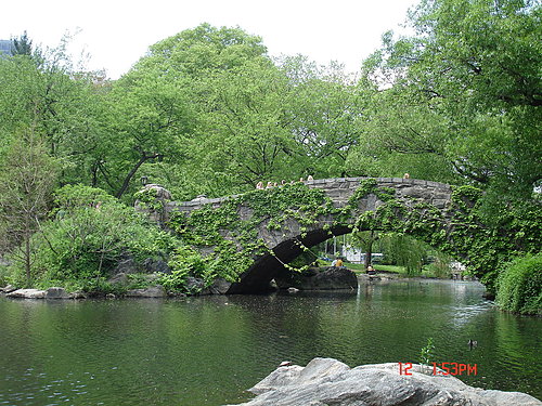 4ac5ca2b3b997 New York-Central Park輕鬆的週末下午