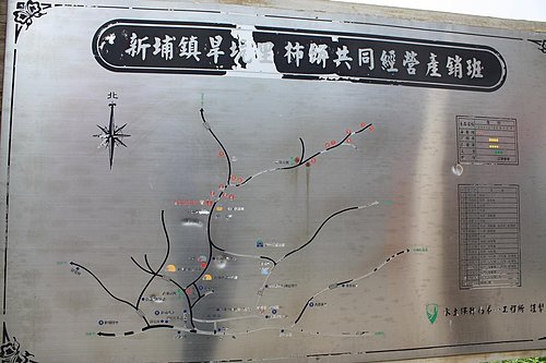 4ac5ca55af867 新埔-柿餅之鄉旱坑里