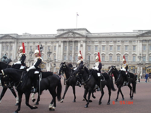4ac5ca635e206 London-白金漢宮女王在家嗎？