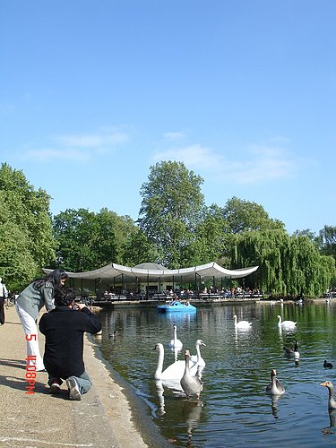 4ac5ca77ca026 London-Hyde Park英式悠閒