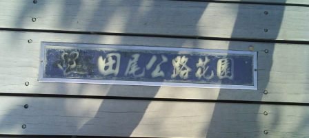 4ac5cb04804cf 田尾-花花世界公路花園