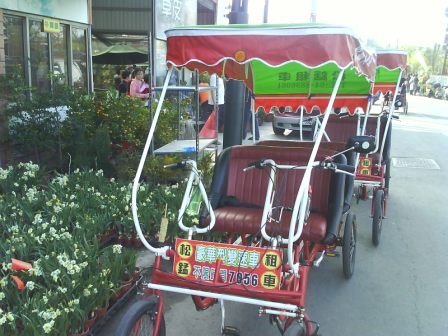 4ac5cb052c909 田尾-花花世界公路花園
