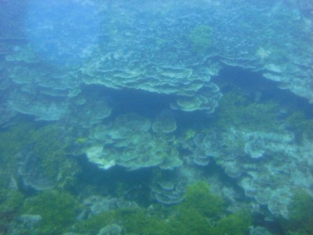 4ac5cb24e401d Guam-碧海藍天陽光關島