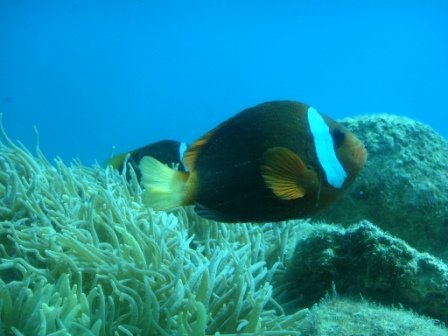 4ac5cb2583554 Guam-碧海藍天陽光關島
