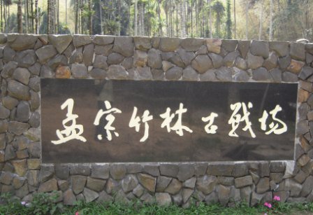 4ac5cb4c1330b 鹿谷-孟宗竹林小半天