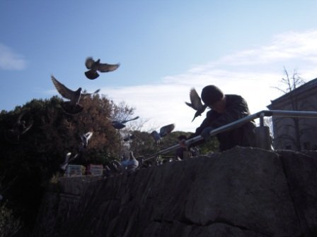 4ac5cb50b97ff Kansai-天王寺公園曬太陽(Osaka) Day4