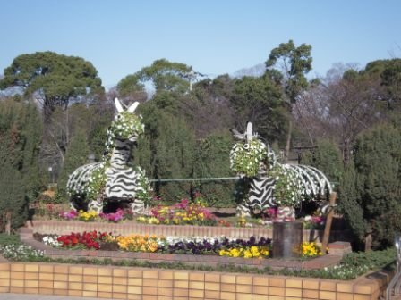 4ac5cb50e62de Kansai-天王寺公園曬太陽(Osaka) Day4