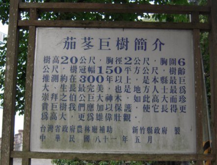 4ac5cbb8dff41 芎林-鹿寮坑桐花趣