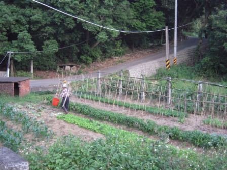 4ac5cbc8d3ab9 新埔-鳳山溪枋寮自行車道