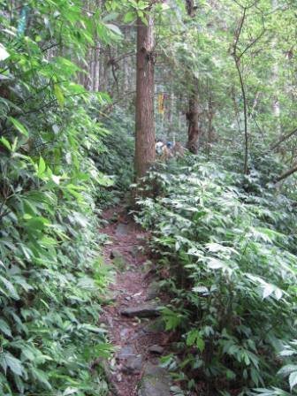 4ac5cc2b12db9 南庄-向天湖山