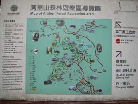 4ac5cc4e2e542 阿里山-神木深呼吸(阿里山)