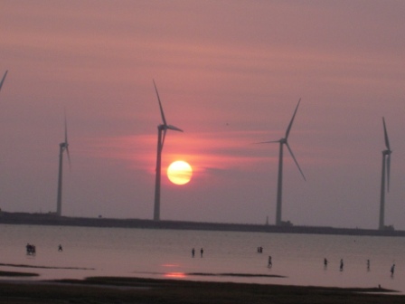高美濕地16.JPG 高美濕地16.JPG